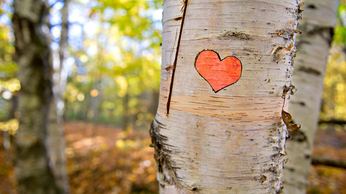 Communication on this topic: Is Your Heart Older Than You Are, is-your-heart-older-than-you-are/ Communication on this topic: Is Your Heart Older Than You Are, is-your-heart-older-than-you-are/